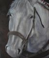 Avant la fête - Chevaux (huiles et aquarelles)