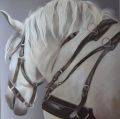 Avant l'effort - Chevaux (huiles et aquarelles)