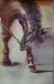 La Révérence - Chevaux (huiles et aquarelles)