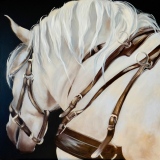 masseaut-franchet - Chevaux (huiles et aquarelles)