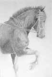 Généreux - Dessins