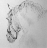 Tranquille - Dessins