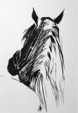 Impatience - Dessins