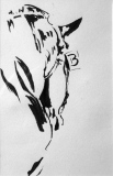 B - Dessins