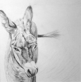Enfance - Dessins
