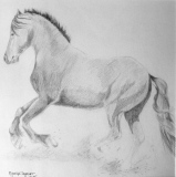 Frison - Dessins