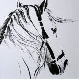 Rebelle - Dessins